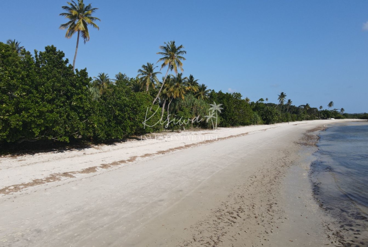 Achat Terrain Zanzibar Pemba Wambaa 6 972M2