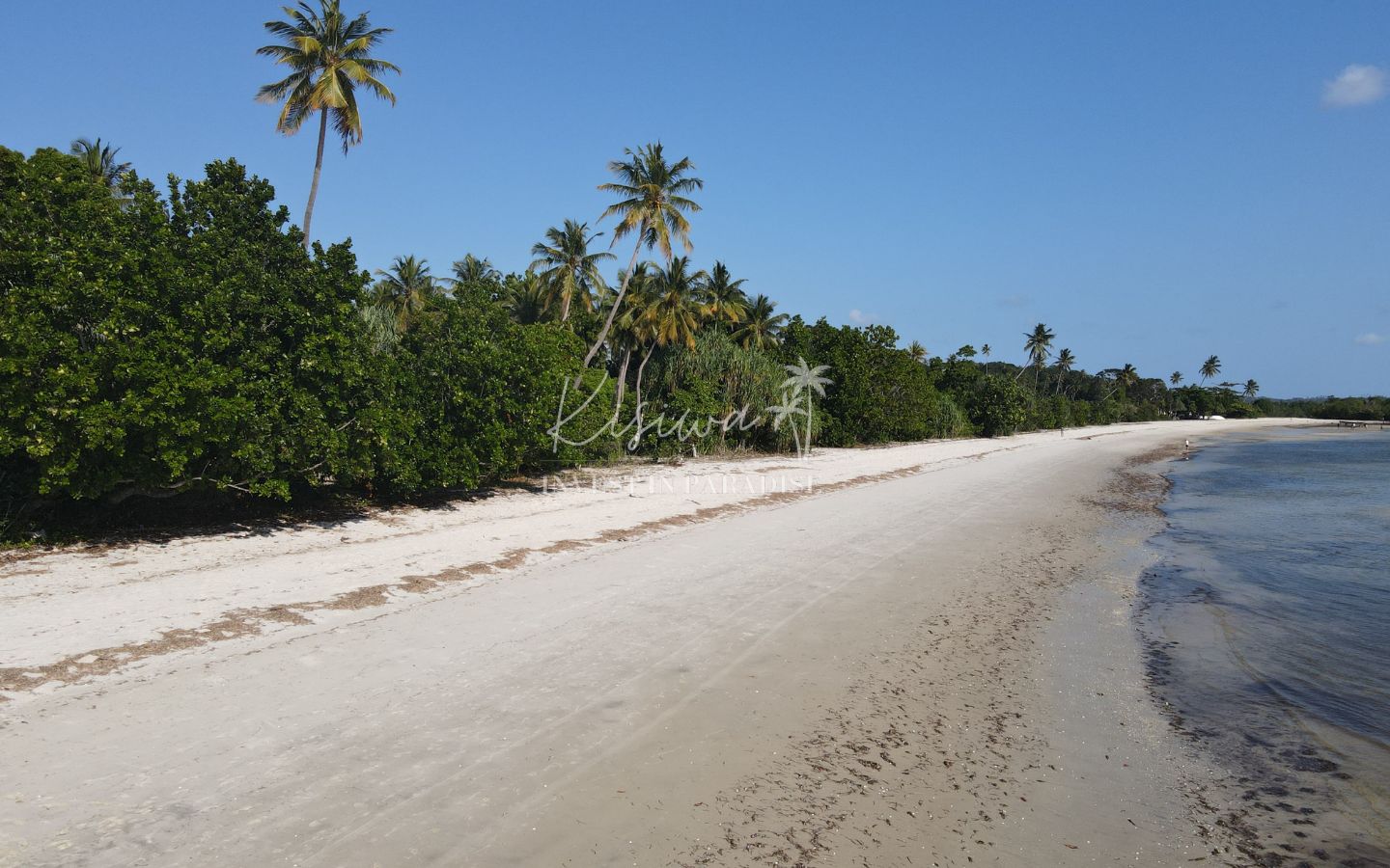 Achat Terrain Zanzibar Pemba Wambaa 6 972M2