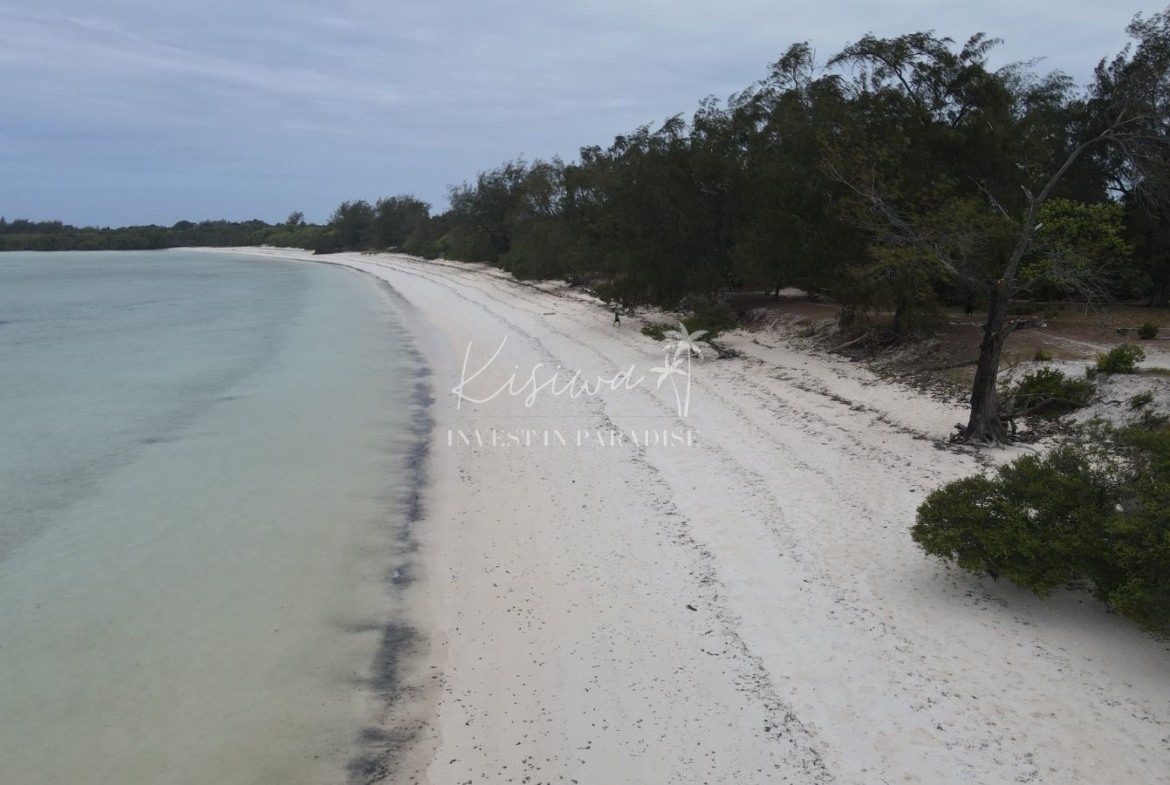 Acheter terrain zanzibar Pemba Chamiani 11 600M2