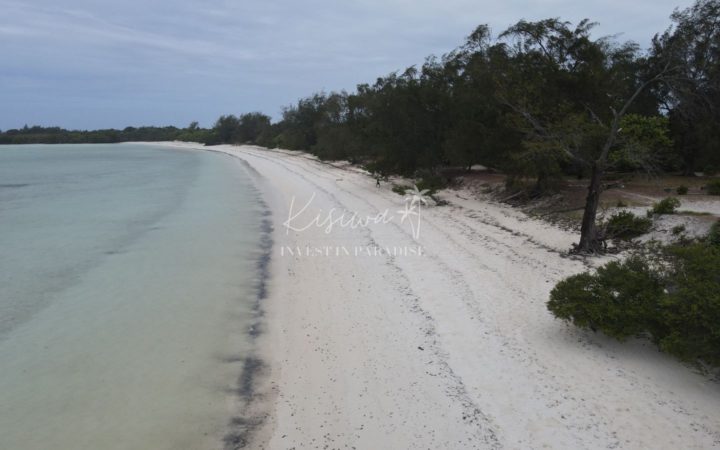 Acheter terrain zanzibar Pemba Chamiani 11 600M2