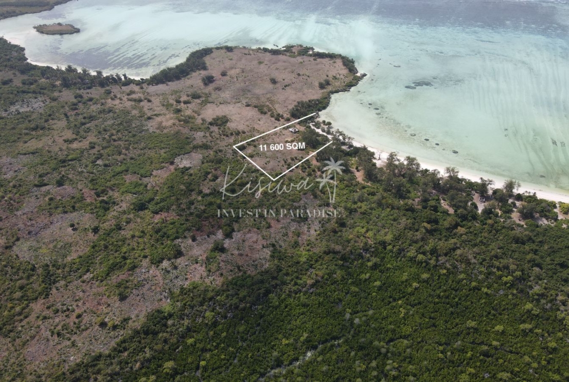 Invest terrain zanzibar Pemba Chamiani 11 600M2