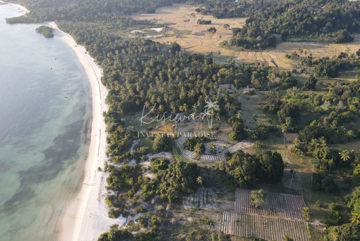 Invest terrain zanzibar Pemba Wambaa 28 453M2