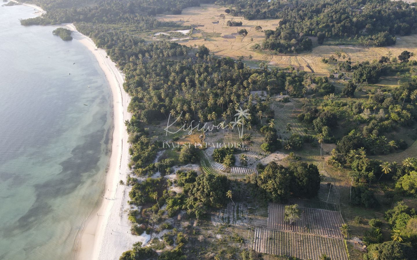 Invest terrain zanzibar Pemba Wambaa 28 453M2