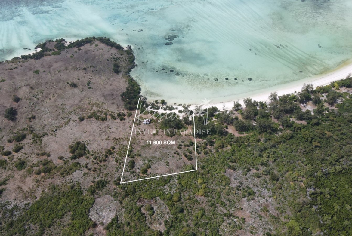 Terrain a vendre Pemba Chamiani 11 600M2