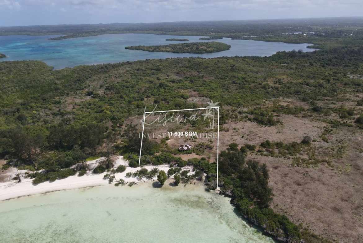 Terrain vendre Zanzibar Pemba Chamiani 11 600M2