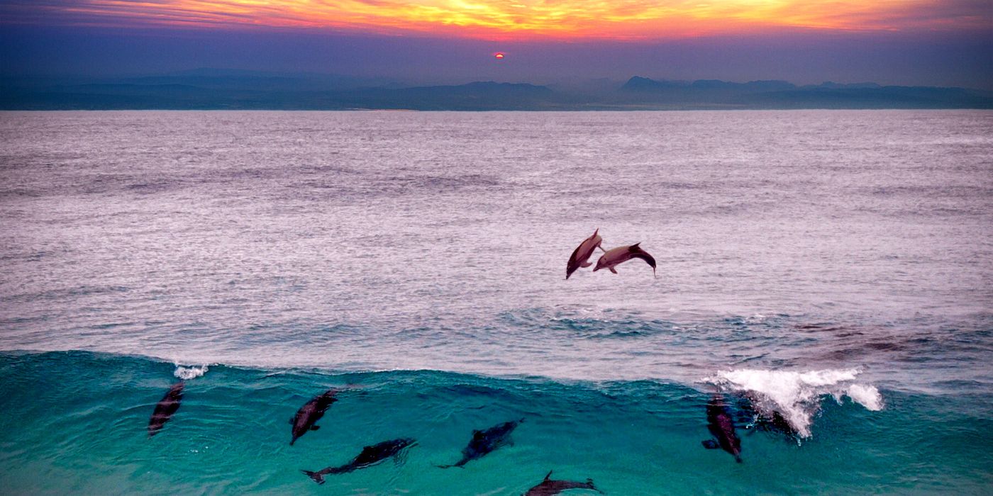 Devenir Proprietaire sur Zanzibar