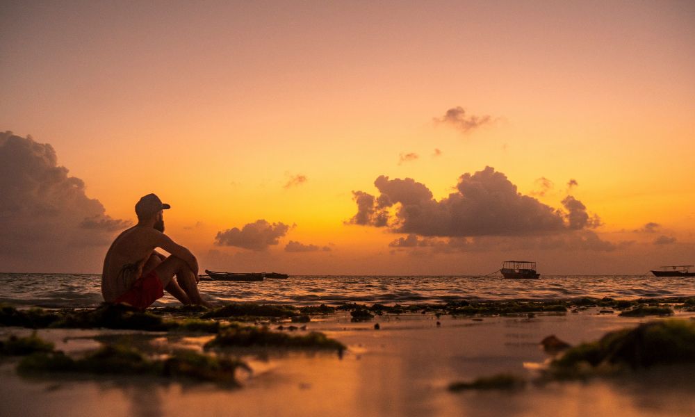 Zanzibar Invest Patience revente