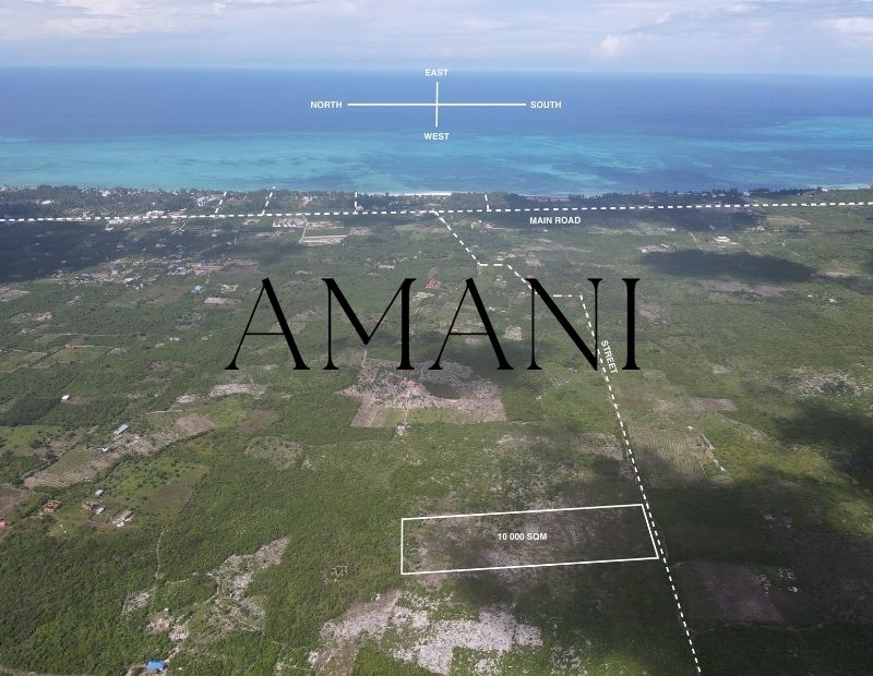 Terrain a vendre zanzibar 10 000 m2 Paje