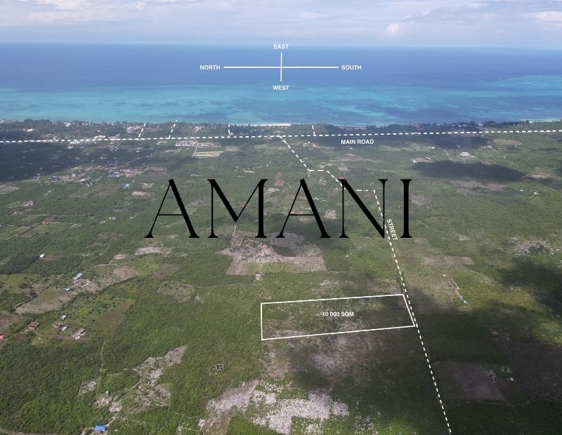 Terrain a vendre zanzibar 10 000 m2 Paje