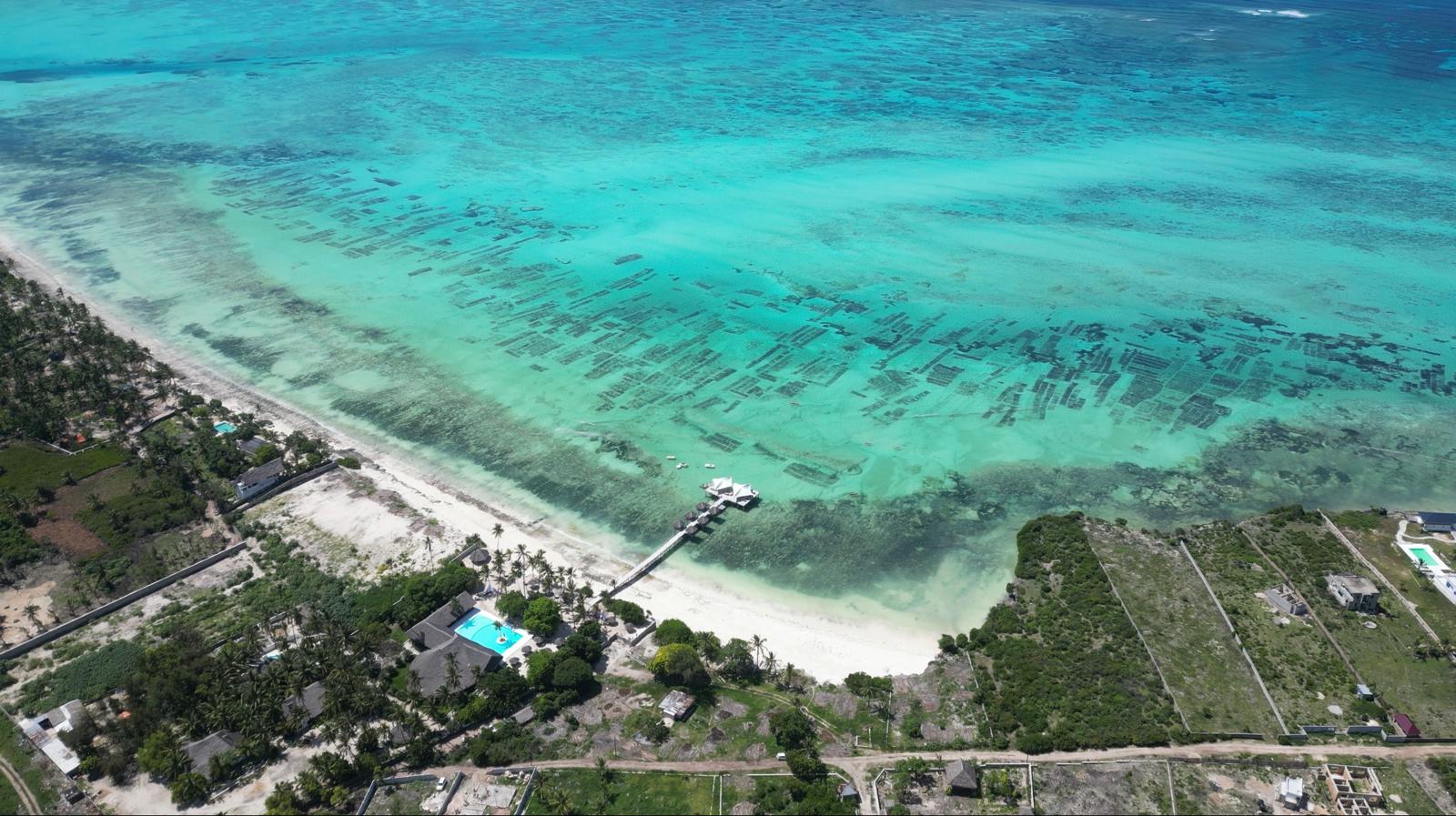 terrain shungi condo