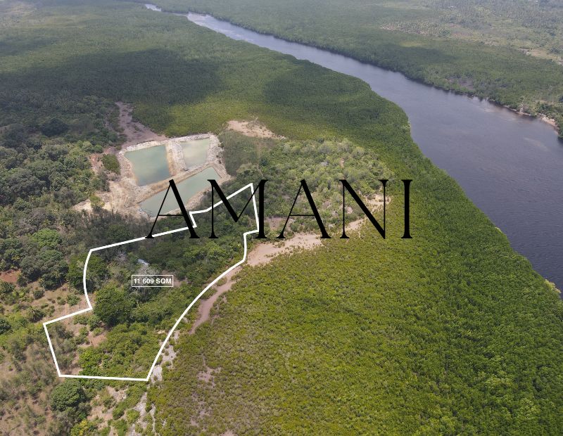 Détails du fichier joint Terrain a vendre zanzibar 11 609 SQM Jozani Forest