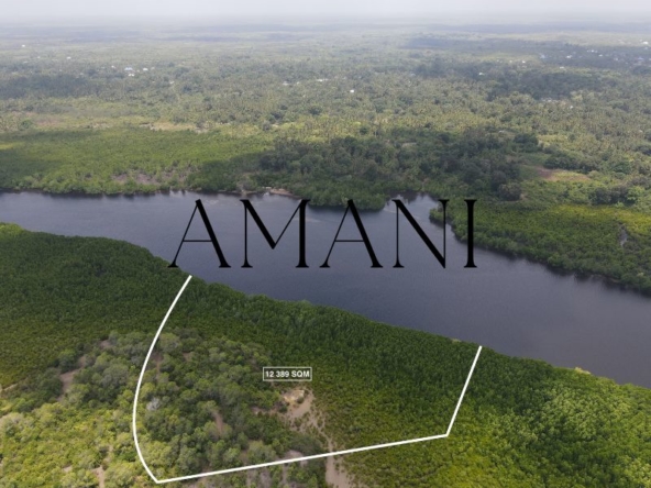 Terrain a vendre zanzibar 12 389 SQM Jozani forest