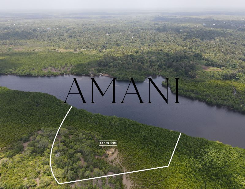 Terrain a vendre zanzibar 12 389 SQM Jozani forest