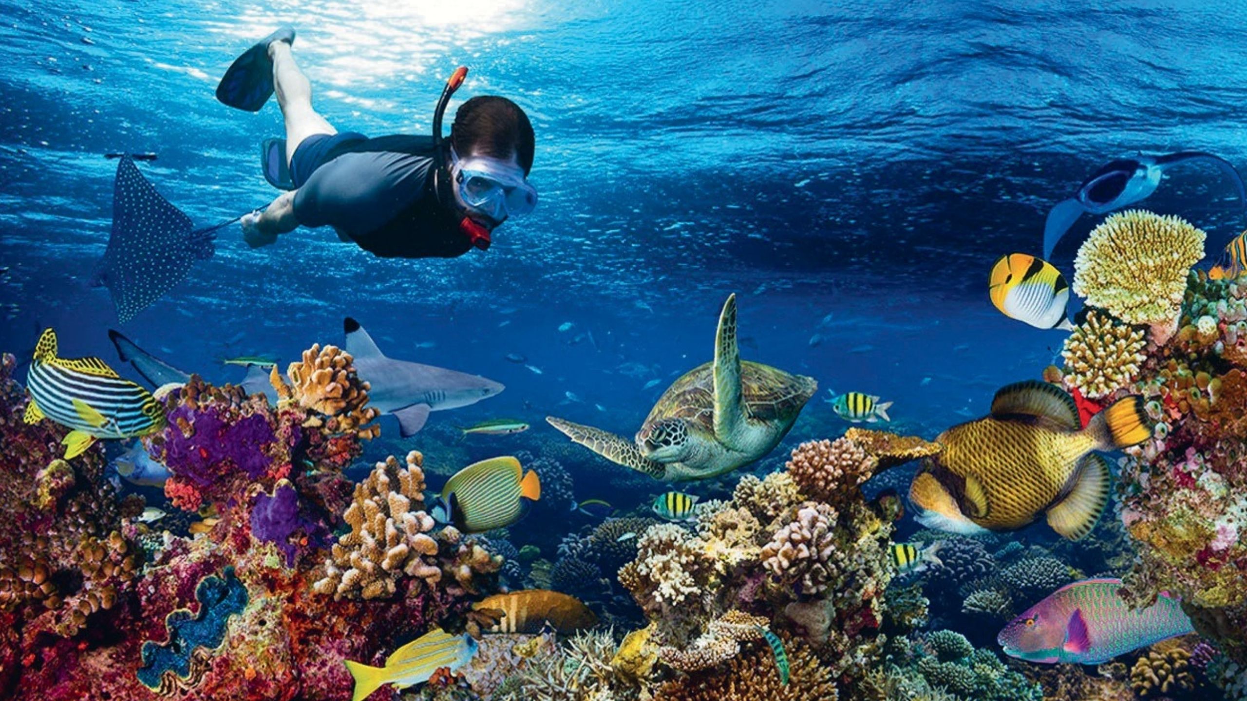 Villa Luxe Zanzibar Nungwi Acheter