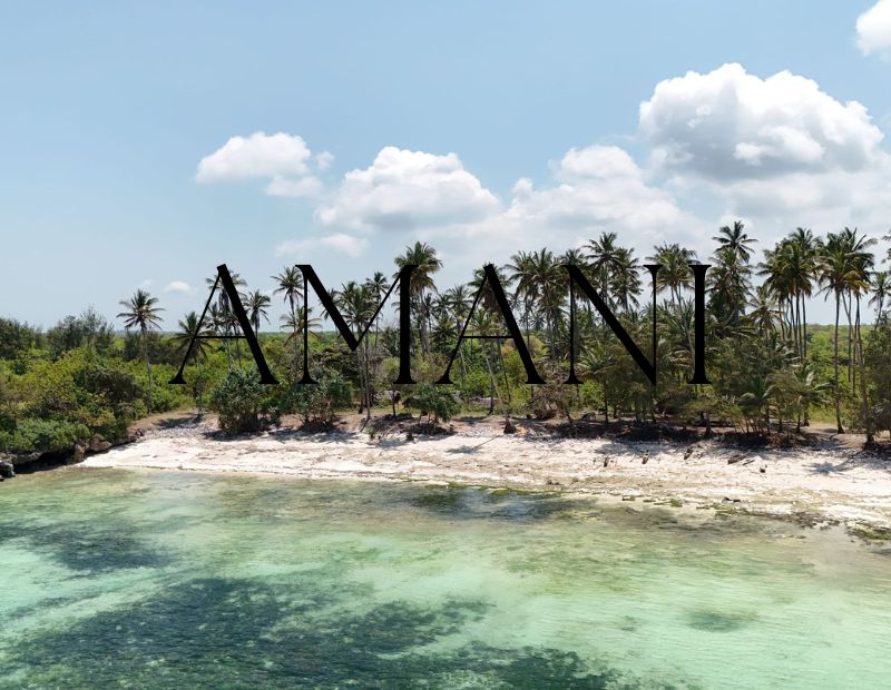 Achat terrain Makunduchi Zanzibar 42 000 M2