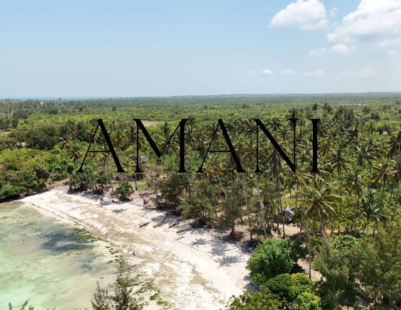 Investissement terrain Zanzibar Mtende 42 000