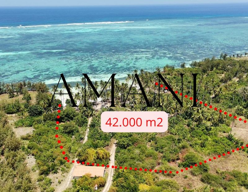 Terrain a vendre zanzibar 42 000 M2 Mtende