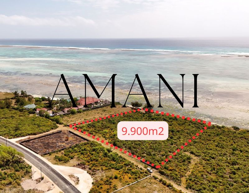 Terrain a vendre zanzibar Jambiani 9 900 M2
