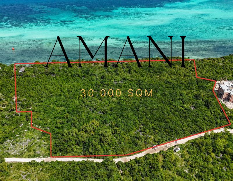 Terrain a vendre zanzibar Kizimkazi 30 000 M2