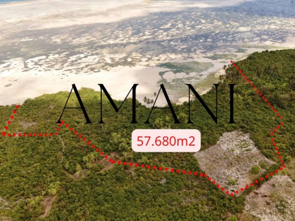 Terrain a vendre zanzibar kizimkazi 57 680 M2