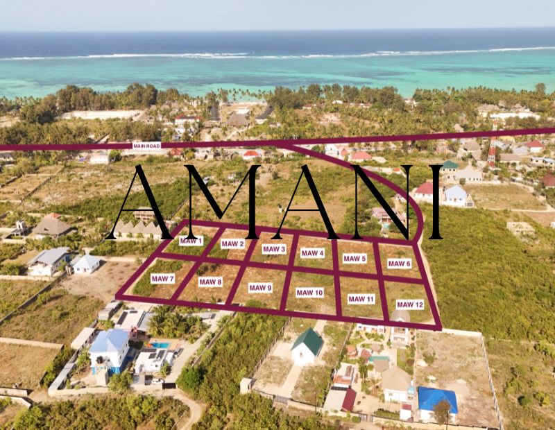 Investir lotissement zanzibar paje 1000m2 min