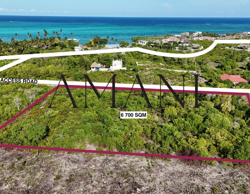 terrain-a-vendre-6 700-m2-Jambiani-zanzibar
