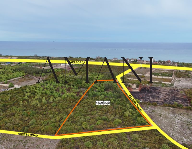 terrain-a-vendre-4500m2-zanzibar-jambiani