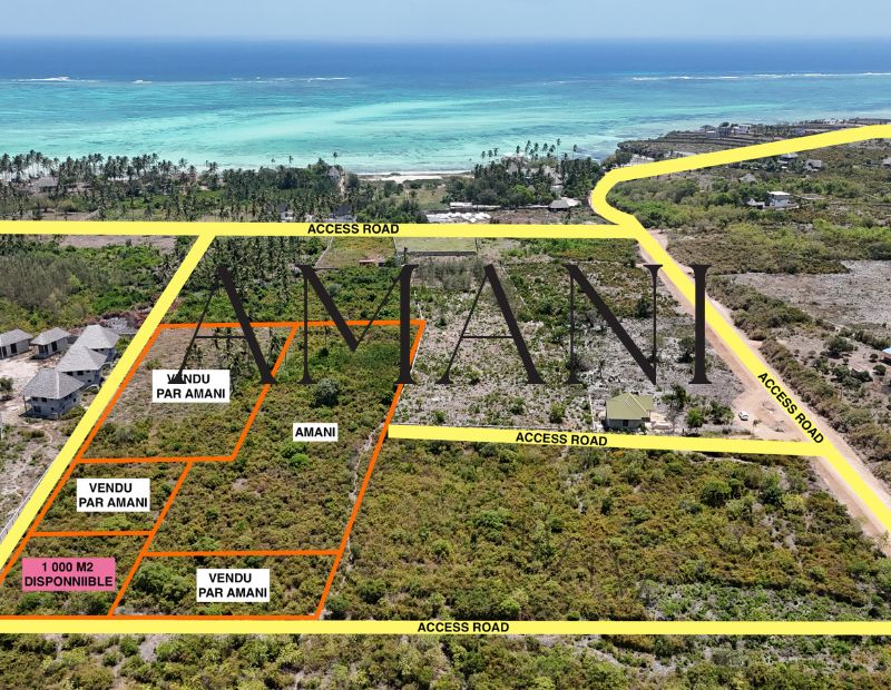 TERRAIN-A-VENDRE-JAMBIANI-ZANZIBAR-1000M2