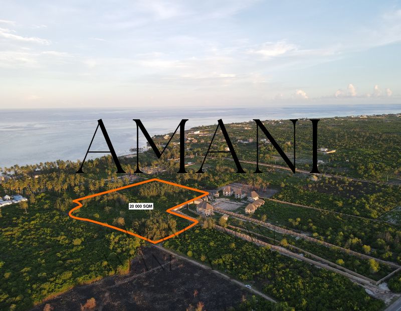 terrain-a-vendre-jambiani-20 000m2-zanzibar