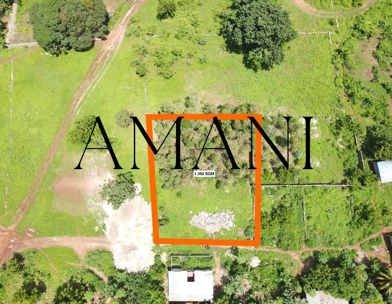 1350m2-zanzibar-terrain-a-vendre-kidoti